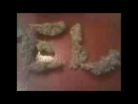 EL DA SENSEI -TALK OF THE CITY FT INTERNAL QUEST