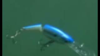 Wobler Rapala Jointed Shad Rap 05_BWB