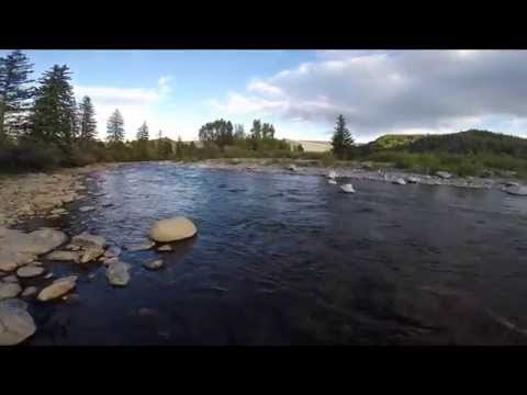 Fly Fishing Blue Creek - Silverthorne, CO. 2014