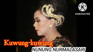 Download lagu KLININGAN || KUWUNG-KUWUNG || Nunung Nurmalasari mp3 Download lagu KLININGAN || KUWUNG-KUWUNG || Nunung Nurmalasari mp3