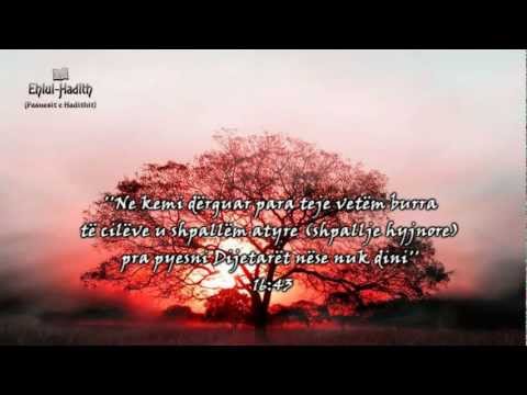 Sheikh Feuzan: ''Shkaqet e Qëndrueshmërisë në Fe''