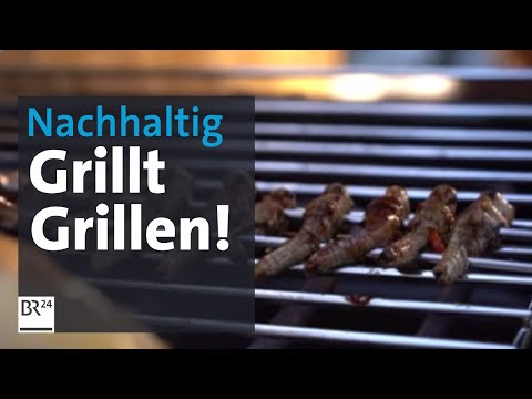 Klimaschutz: Nachhaltiges Grillen mit Insekten | Abendschau | BR24