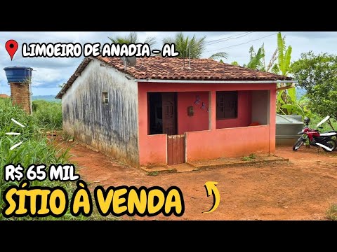 SÍTIO À VENDA LIMOEIRO DE ANADIA ALAGOAS NORDESTE 
