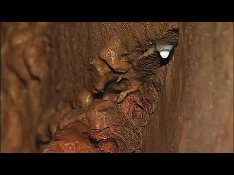 Bull Shoals Caverns Cost