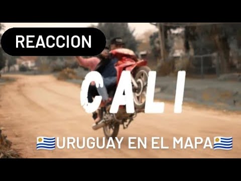 REACCION A 44 KID "CALI"