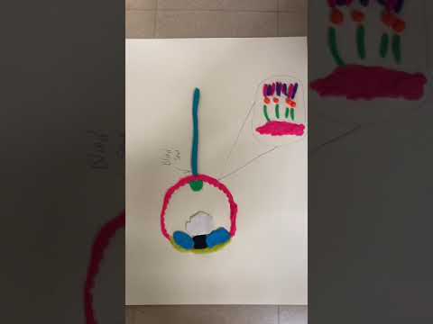 John V, Luca M, Damian T eyeball