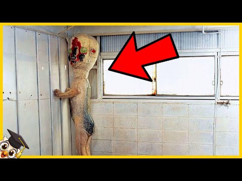10 Most Terrifying SCP Monsters