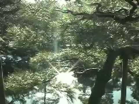 Japan video