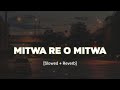 Mitwa Re O Mitwa Nagin Nache Gali Gali New Slowed And Reverb Song
