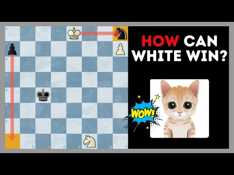 Impress MITTENS With This Chess Problem