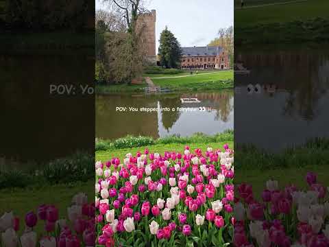 A Fairytale Castle Near Brussels 🌷🏰✨ #floraliabrussels #grootbijgaarden #fairytalecastle #tulips