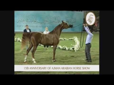 Ajman 2017 - Class 3A