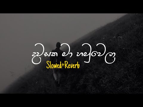 Dawasaka Ma - දවසක මා හමුවෙලා (Slowed+Reverb)