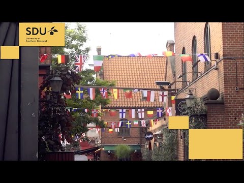 Summer School at SDU