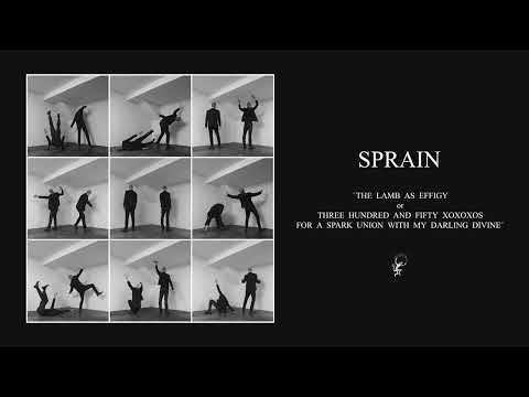 We Think So Ill Of You - Sprain