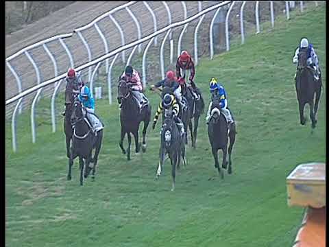 Galoppo 29/11/2017 - 4ª corsa