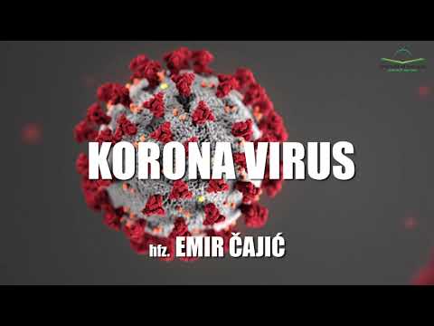 KORONA VIRUS - hfz. Emir Čajić