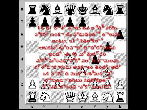 Frank Teed vs. Eugene Delmar en New York en 1890 telugu.mp4