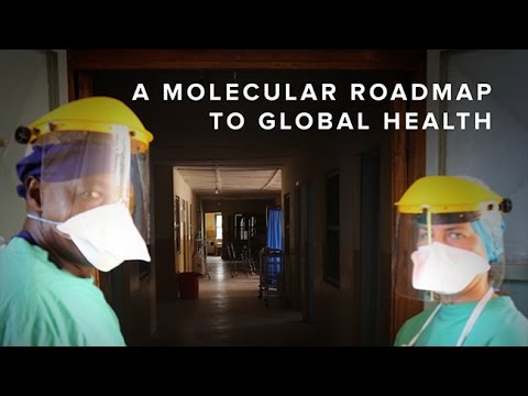 Saturday Science at Scripps Research: A Molecular Roadmap to Global Health