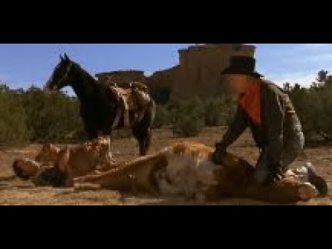 City Slickers baby cow birth scene.