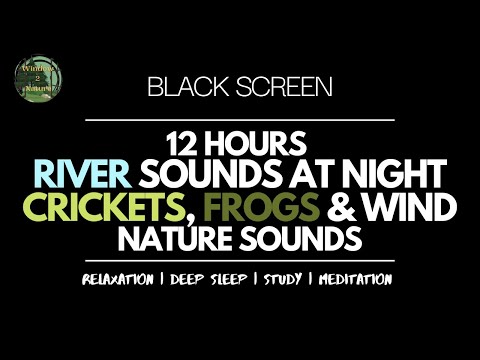 Black Screen 12 Hours River Sounds At Night Crickets Frogs & Wind Nature Sounds for Sleeping Relax