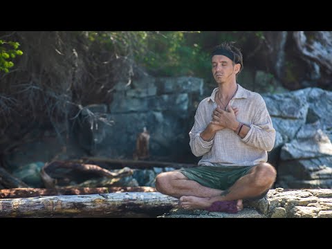 Gratitude Meditation ➤ 10 Min Daily Ritual To Shift & Transform Your Reality