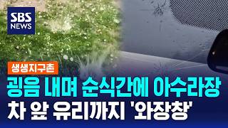굉음 내며 순식간에 아수라장..차 앞 유리까지 '와장창' / SBS / 생생지구촌