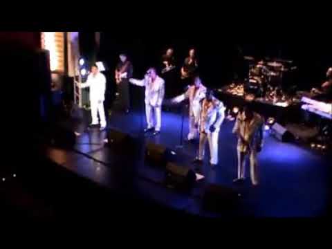 Promotional video thumbnail 4 for Essence of Motown