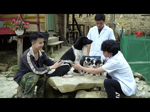 Great news! Suki is expecting her first children.