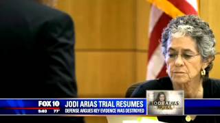 Expert in “Kinky Sex Relationships” Testifies About Jodi Arias’ & Travis Alexander’s Past