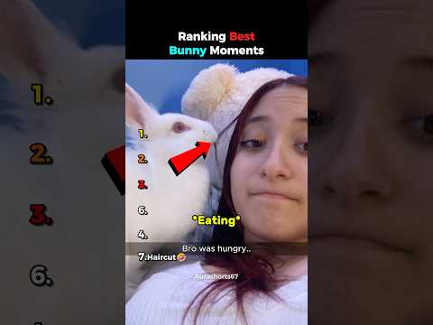 Ranking Best Bunny Moments