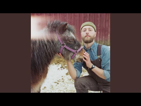 Nature - The Culls