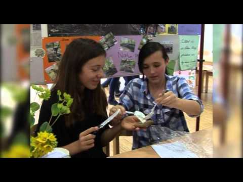 Tag der offenen Tür am Libo - RAN1