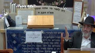 הרב פנחס רז | הלכות - חזרה לדירה | בית הכנסת היזדים