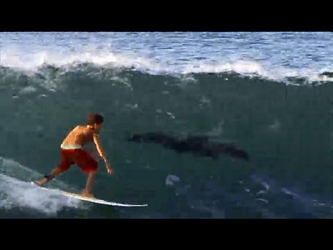 [Extras] Retratum (2008) - Galápagos