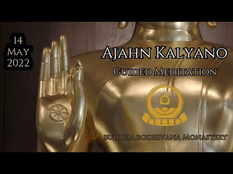 Vesak Guided Meditation with Tan Ajahn Kalyano 14 May 22