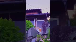 Download lagu LATIHAN SURYA MAULANA X DKV mp3