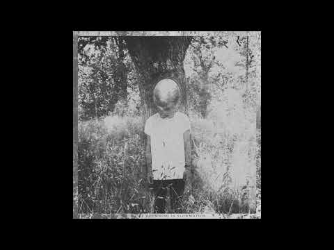 YOUNG MOUNTAIN - We're Drowning in Slowmotion