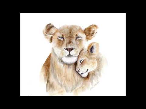 cute lion pic ,🦁🦁🦁🦁