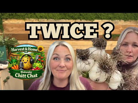 How I&rsquo;m Growing More Food Without More Space | Succession Planting UK Allotment | Self Reliance UK