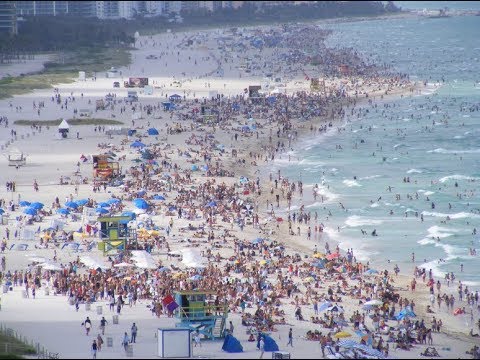 Miami Spring Break Reddit