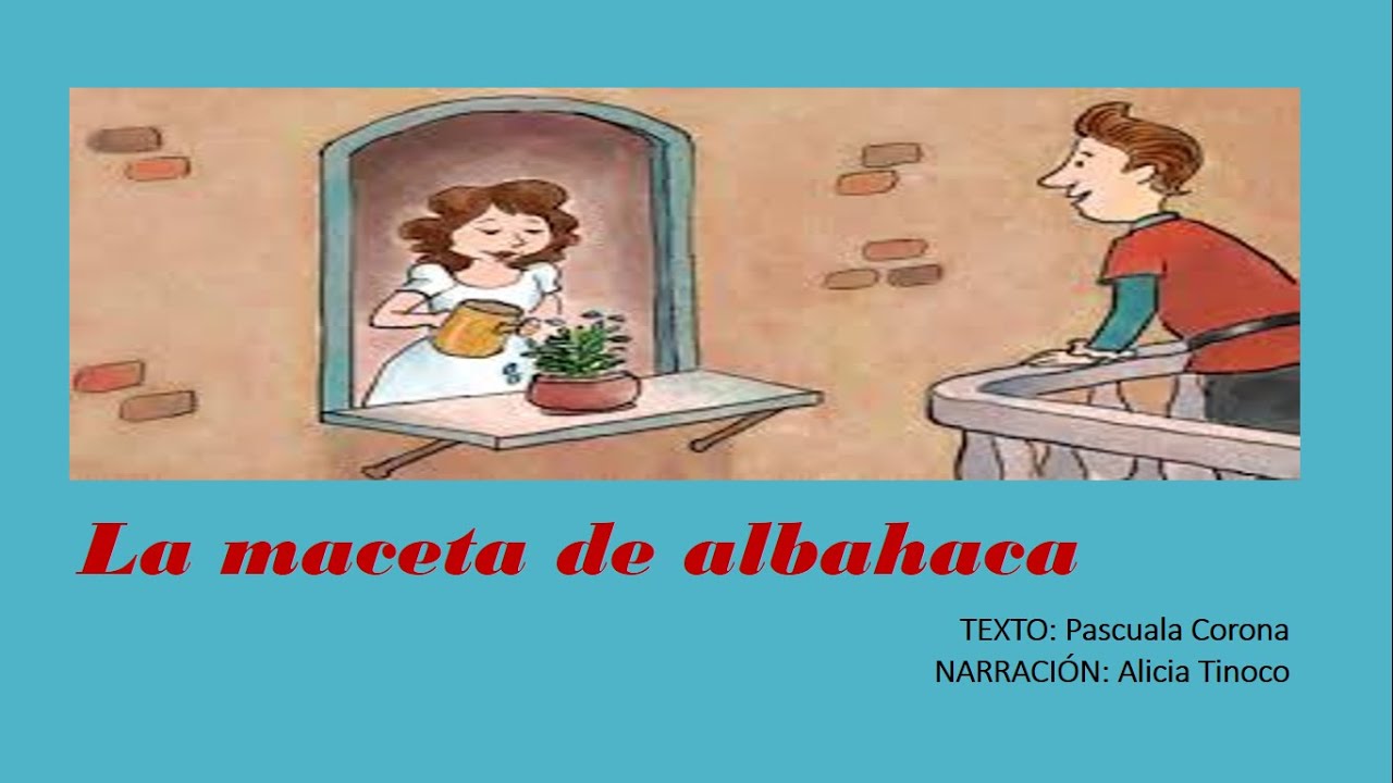 La maceta de Albahaca