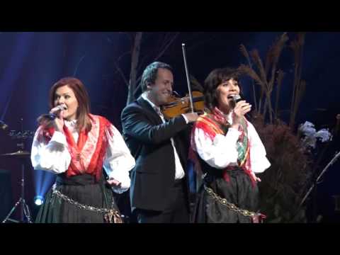 Kranjci & Dinamitke - En šuštar me je vprašal