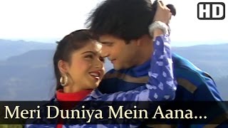 Meri Duniya Mein Aana Na Jana - Paayal (1992) Songs - Bhagyashree - Himalaya
