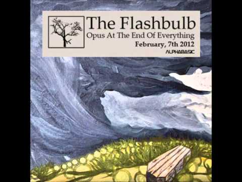The Flashbulb - Precisely Wrong