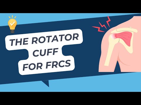 The Rotator Cuff