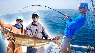 Cobia Chaos | Offshore Fishing in 20’ Bay Boat | Yankeetown FL