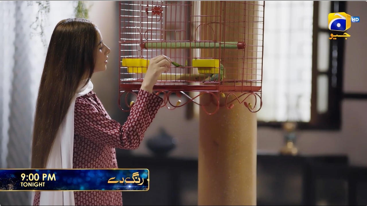 Rang De Episode 04 Promo | Tonight at 9:00 PM  only on Har Pal Geo