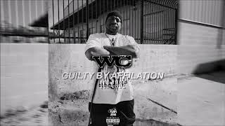 WC &amp; Ice Cube - Guilty By Affiliation (Explicit)