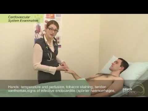 Cardiovascular Examination